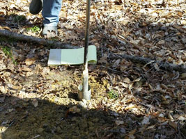 auger to collect soil sample