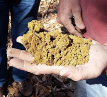 Closeup of Soil